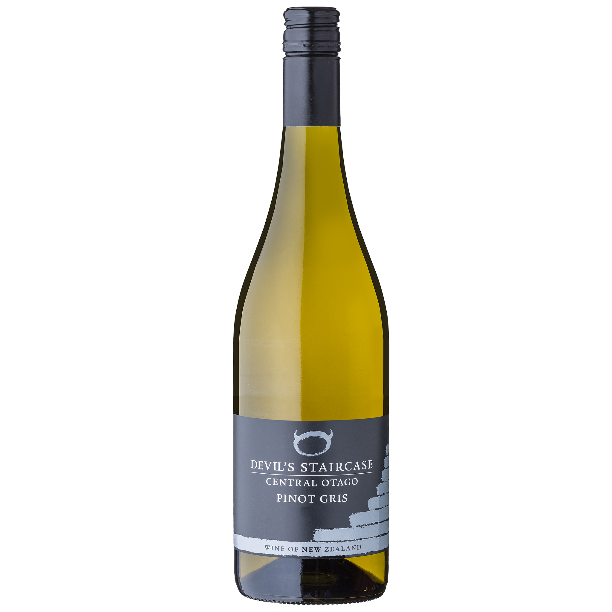 L VAULTROOM nqrse DEVIL TEE / CHARCOAL vaultroom 